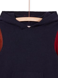 Pull à Capuche Motif Loup -Dpam 22W902O1PUL 705 2 1