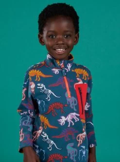 Sweat à Imprimé Dinosaure Multicolore