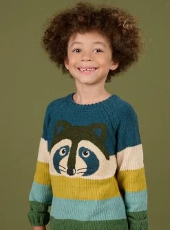 Pull Manches Longues à Rayures Et Motif Raton Laveur