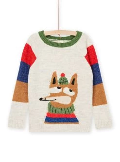 Pull à Motifs Renard Et à Rayures
