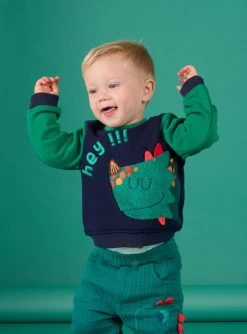 Sweat Bleu à Animation Dinosaure Multi-techniques -Dpam 22WG10P1SWE C203 2