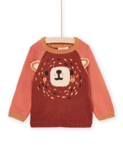 Pull En Tricot Avec Animation
