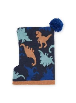 Cagoule à Imprimé Dinosaure