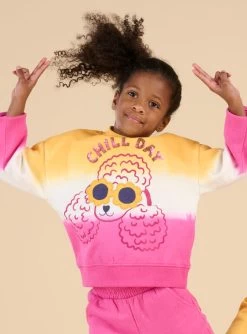 Sweat Animation Chien Tricolores