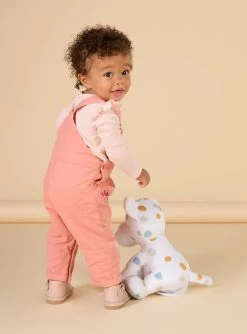 Dpam -Dpam 23SG09K1CBL D300 2