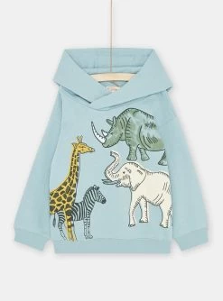 Sweat Bleu Céladon à Capuche En Molleton Gratté Garçon