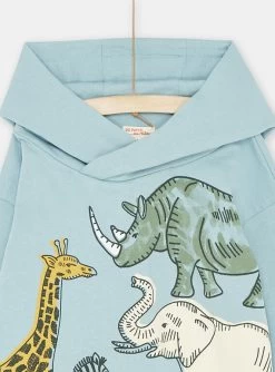 Sweat Bleu Céladon à Capuche En Molleton Gratté Garçon -Dpam 23W902I1SWE 204 13